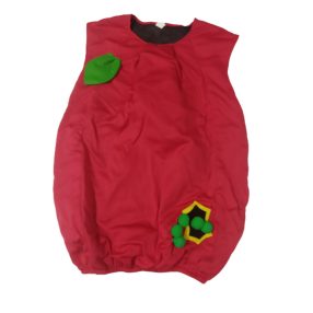 Felnőttre alma jelmez