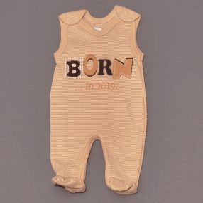 Barna csíkos, Born in 2019 rugdalózó (50) - ÚJ