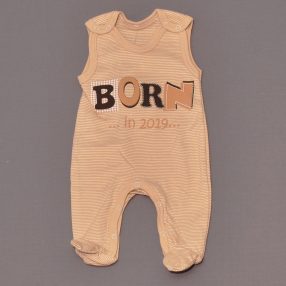 Barna csíkos, Born in 2019 rugdalózó (56) - ÚJ