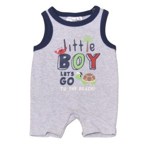 Szürke, tekis napozó (50)