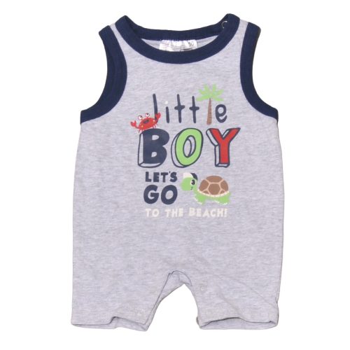 Szürke, tekis napozó (50)