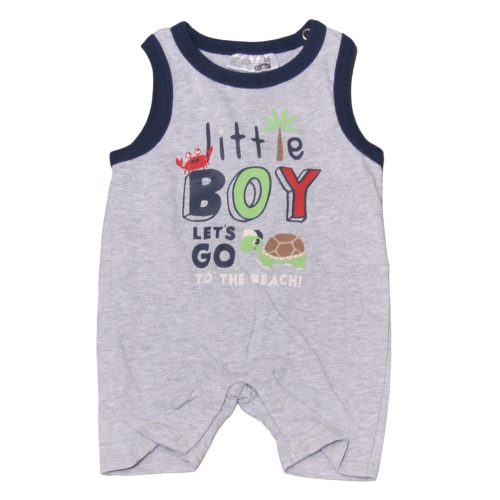 Szürke, tekis napozó (56)