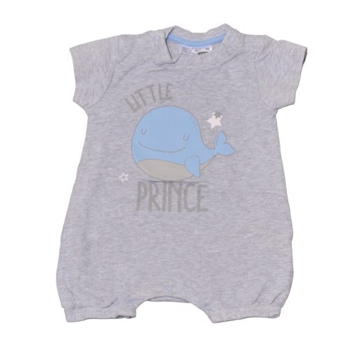 Szürke, bálnás napozó (74)