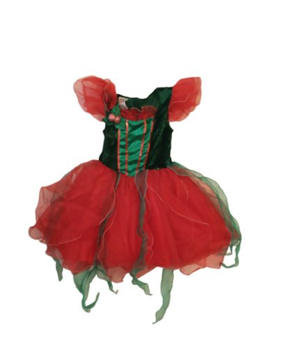 110-es karácsonyi jelmezruha - Ladybird