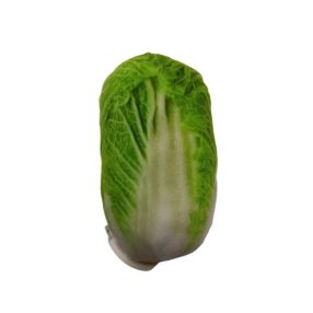 Élethű zöldség plüss játék, káposzta - ÚJ