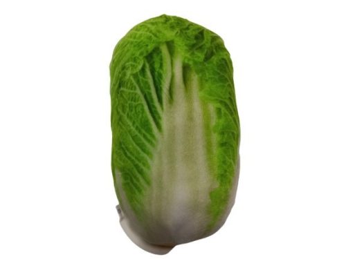 Élethű zöldség plüss játék, káposzta - ÚJ