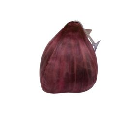 Élethű zöldség plüss játék, lilahagyma - ÚJ