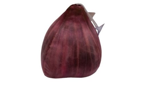 Élethű zöldség plüss játék, lilahagyma - ÚJ
