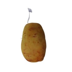 Élethű zöldség plüss játék, krumpli, burgonya - ÚJ