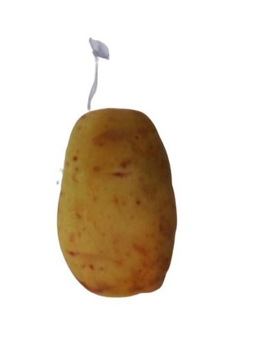 Élethű zöldség plüss játék, krumpli, burgonya - ÚJ